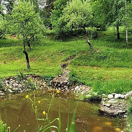 Soho Rasnov Hotel Braşov