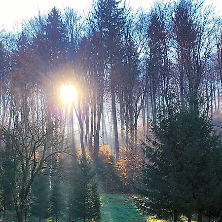 Soho Rasnov Hotel Braşov