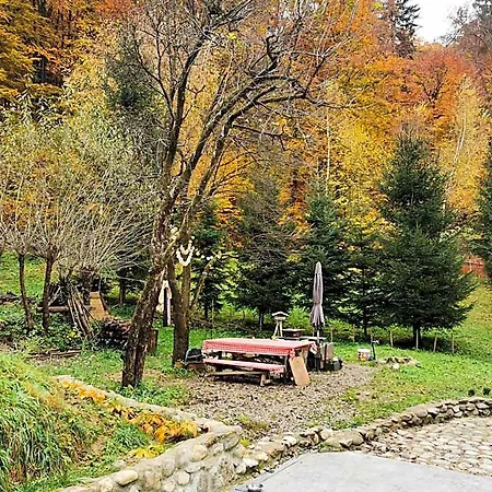 Soho Rasnov