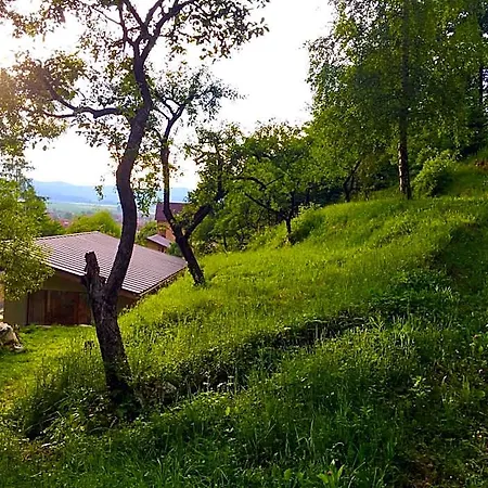 Soho Rasnov Hotel Braşov