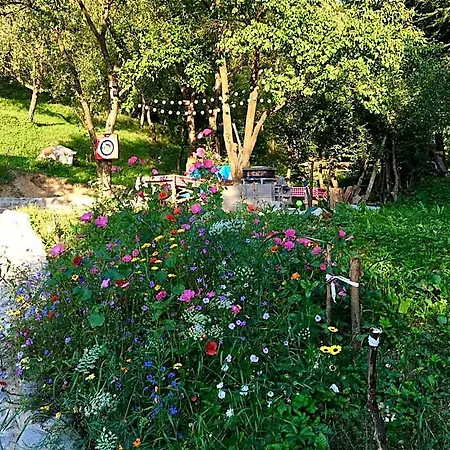 Soho Rasnov Hotel