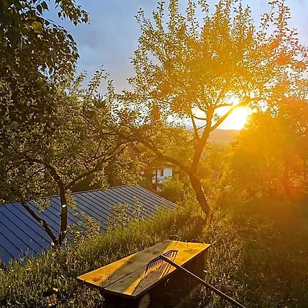 Hotel Soho Rasnov *